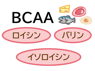 アミノ酸BCAAの一覧画像