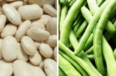 白いんげん豆の画像