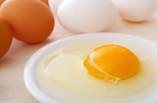 卵と卵の黄身の画像