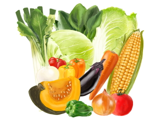 野菜（食物繊維）のイラスト画像